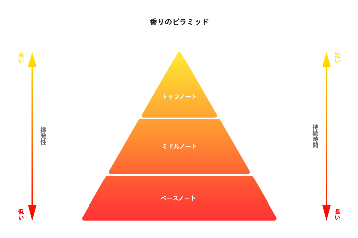 香水 トップ ノート オファー ミドル ノート